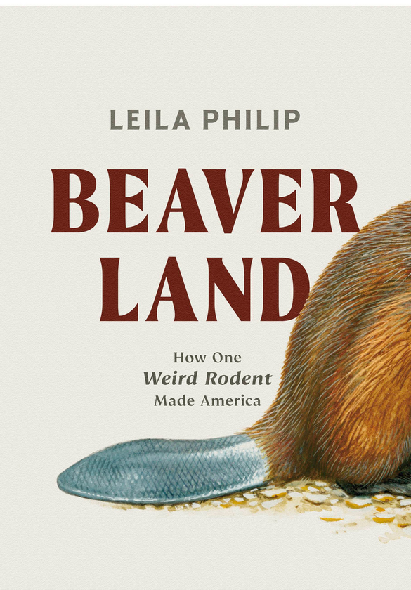 Бумажная книга «Beaverland», автор Лейла Филип - фото №1