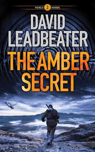 Бумажная книга «The Amber Secret», автор Дэвид Лидбитер - фото №1