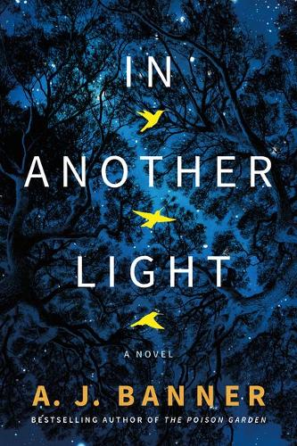 Паперова книга «In Another Light: A Novel», автор А. Дж. Баннер - фото №1