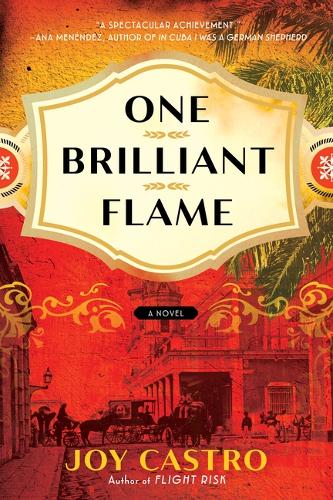 Бумажная книга «One Brilliant Flame: A Novel», автор Джой Кастро - фото №1