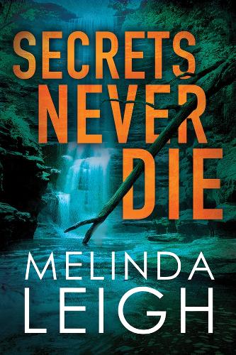 Бумажная книга «Secrets Never Die», автор Мелинда Лей - фото №1