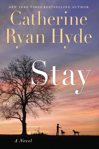 Бумажная книга «Stay», автор Кэтрин Райан Хайд - фото №1