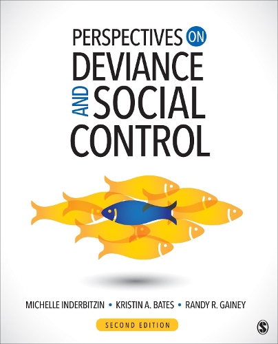 [object Object] «Perspectives on Deviance and Social Control», автор Рэнди Р. Гейни - фото №1
