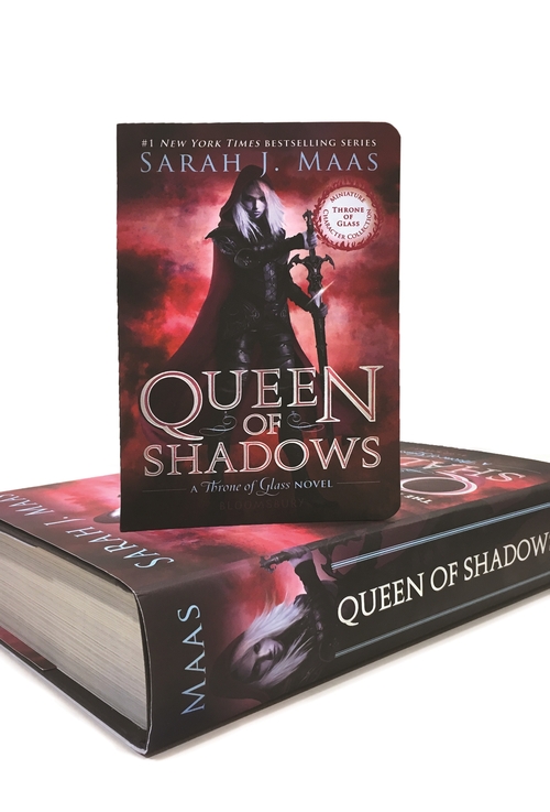 Паперова книга «Queen of Shadows» - фото №1