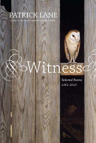  «Witness» - фото №1