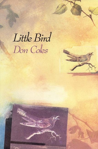 Паперова книга «Little Bird», автор Дон Коулз - фото №1