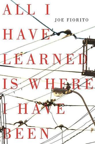 Бумажная книга «All I Have Learned Is Where I Have Been», автор Джо Фиорито - фото №1