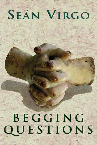 Бумажная книга «Begging Questions», автор Шон Вирго - фото №1