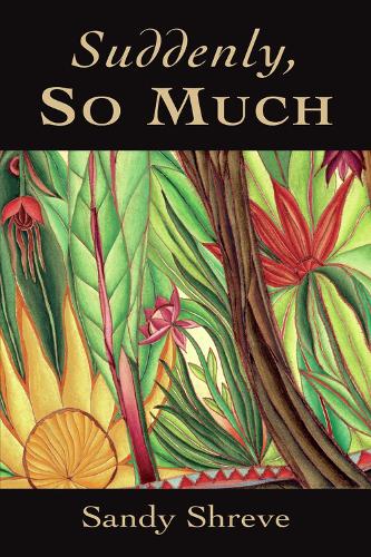 Бумажная книга «Suddenly, So Much», автор Сэнди Шрив - фото №1
