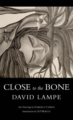 Бумажная книга «Close to the Bone», автор Дэвид Лампе - фото №1
