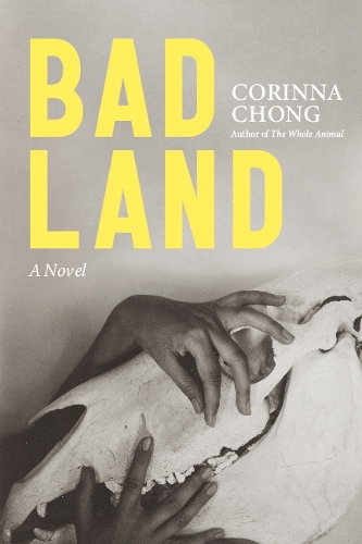 Бумажная книга «Bad Land», автор Коринна Чон - фото №1