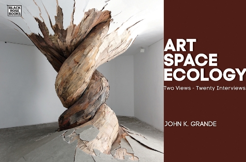 Бумажная книга «Art, Space, Ecology – Two Views–Twenty Interviews», авторов Эдвард Люси-Смит, Джон К. Гранде - фото №1