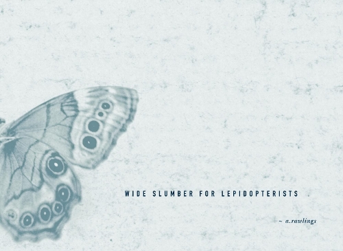 Бумажная книга «Wide Slumber for Lepidopterists», автор Анджела Роулингс - фото №1