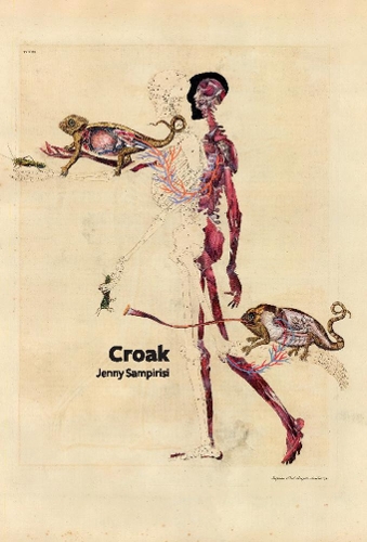 Бумажная книга «Croak», автор Дженни Сампиризи - фото №1