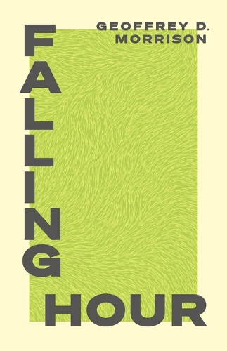 Бумажная книга «Falling Hour», автор Джеффри Моррисон - фото №1