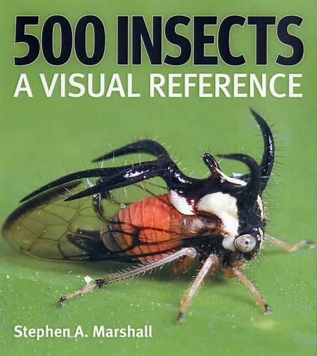 Паперова книга «500 Insects: A Visual Reference», автор Стівен А. Маршалл - фото №1