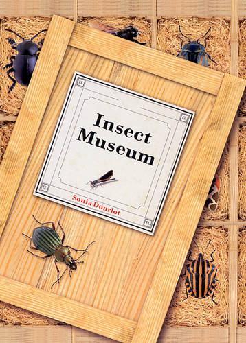  «Insect Museum» - фото №1