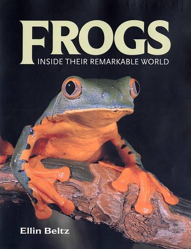 Паперова книга «Frogs: Inside Their Remarkable World», автор Еллін Белтц - фото №1