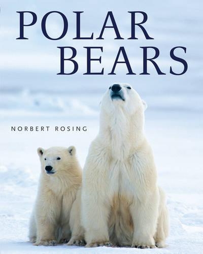 Бумажная книга «Polar Bears», автор Норберт Роузинг - фото №1