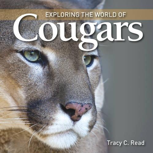 Бумажная книга «Exploring the World of Cougars», автор Трейси К. Рид - фото №1