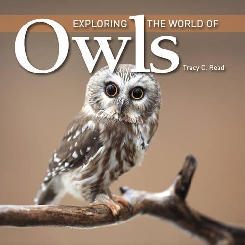 Бумажная книга «Exploring the World of Owls», автор Трейси К. Рид - фото №1