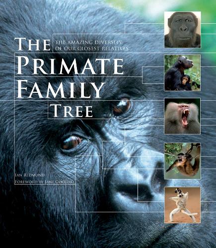 Бумажная книга «The Primate Family Tree: The Amazing Diversity of Our Closest Relatives», автор Ян Редмонд - фото №1