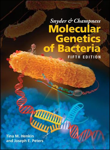 Бумажная книга «Snyder and Champness Molecular Genetics of Bacteria», авторов Джозеф Э. Питерс, Тина М. Хенкин - фото №1