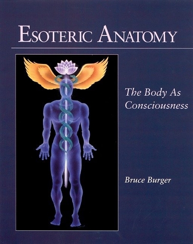 Бумажная книга «Esoteric Anatomy: The Body as Consciousness», автор Брюс Бургер - фото №1
