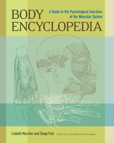 Бумажная книга «Body Encyclopedia: A Guide to the Psychological Functions of the Muscular System», автор Лисбет Марчер - фото №1