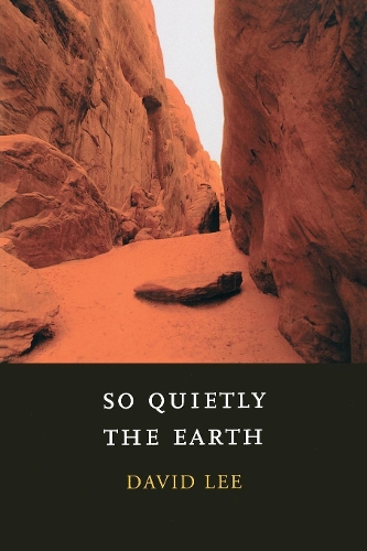 Паперова книга «So Quietly the Earth», автор Девід Лі - фото №1