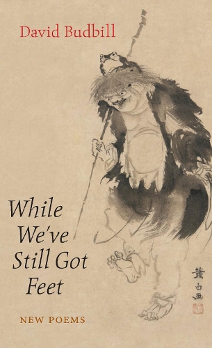 Бумажная книга «While We've Still Got Feet», автор Дэвид Будбилл - фото №1