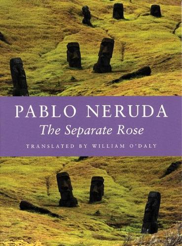 Бумажная книга «The Separate Rose», автор Пабло Неруда - фото №1