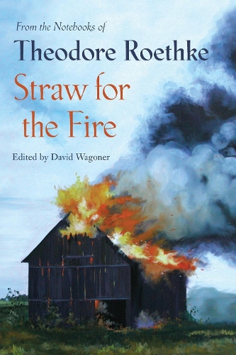 Бумажная книга «Straw for the Fire: From the Notebooks of Theodore Roethke», автор Теодор Ретке - фото №1