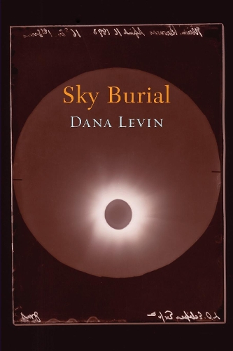 Бумажная книга «Sky Burial», автор Дана Левин - фото №1
