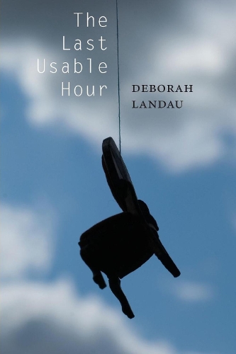 Паперова книга «The Last Usable Hour», автор Дебора Ландау - фото №1