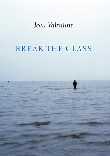 Бумажная книга «Break the Glass», автор Джин Валентайн - фото №1