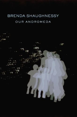 Бумажная книга «Our Andromeda», автор Бренда Шонесси - фото №1