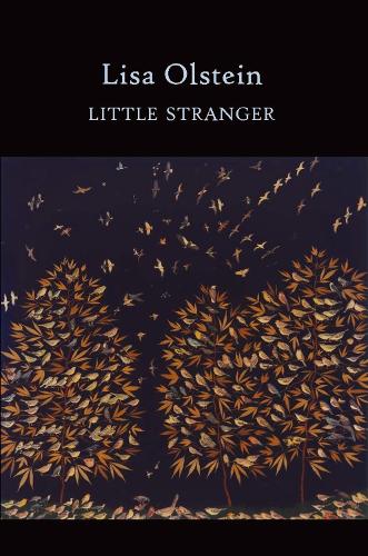 Бумажная книга «Little Stranger», автор Лиза Ольштейн - фото №1