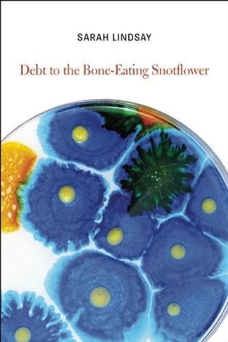 Бумажная книга «Debt to the Bone-Eating Snotflower», автор Сара Линдсей - фото №1