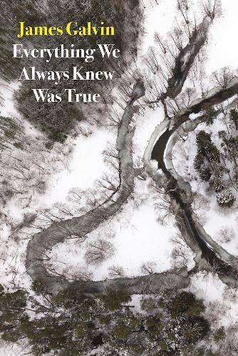 Паперова книга «Everything We Always Knew Was True», автор Джеймс Гелвін - фото №1