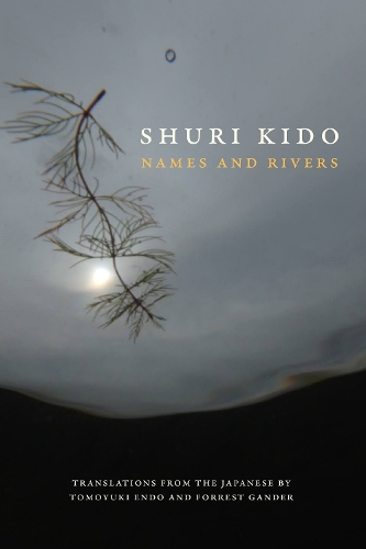 Бумажная книга «Names and Rivers», автор Шури Кидо - фото №1