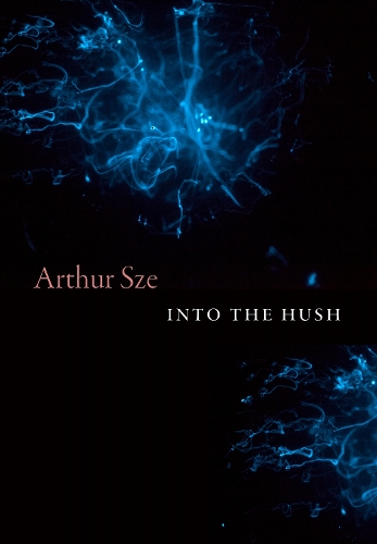 Паперова книга «Into the Hush», автор Артур Сзе - фото №1
