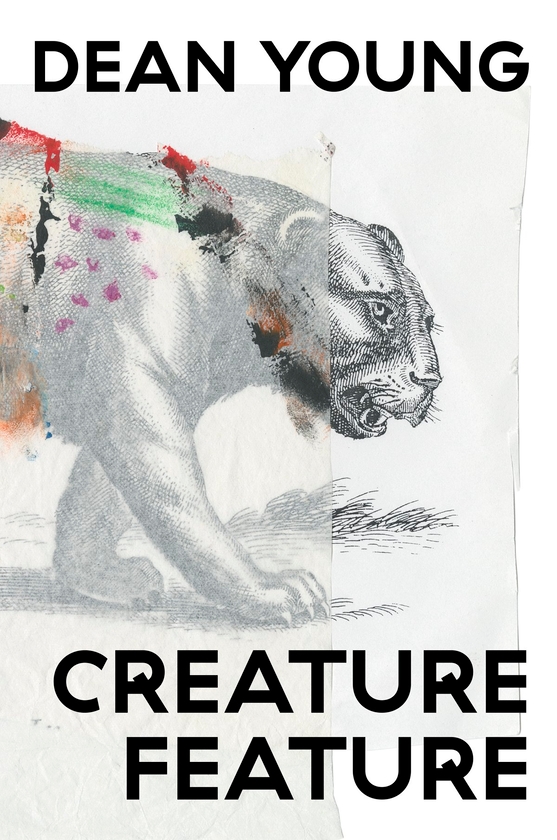 Бумажная книга «Creature Feature», автор Дин Янг - фото №1