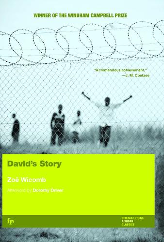 Бумажная книга «David's Story», автор Зои Викомб - фото №1