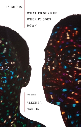 Бумажная книга «Is God Is / What to Send Up When It Goes Down», автор Алеша Харрис - фото №1