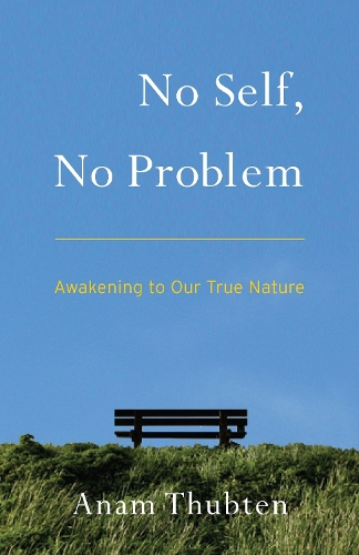Бумажная книга «No Self, No Problem: Awakening to Our True Nature», автор Анам Тубтен - фото №1