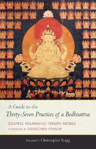 Паперова книга «A Guide to the Thirty-Seven Practices of a Bodhisattva», авторів Крістофер Стегг, Нгаванг Тензін Норбу - фото №1