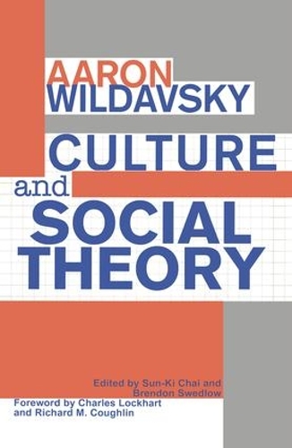 Бумажная книга «Culture and Social Theory», автор Аарон Вильдавский - фото №1