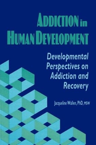 Бумажная книга «Addiction in Human Development: Developmental Perspectives on Addiction and Recovery», авторов Брюс Каррут, Жаклин Уоллен - фото №1