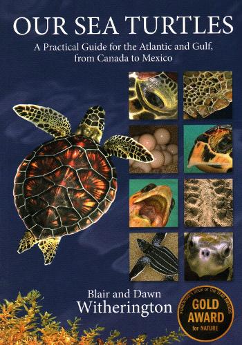 Паперова книга «Our Sea Turtles: A Practical Guide for the Atlantic and Gulf, from Canada to Mexico», авторів Блер Візерінгтон, Дон Візерінгтон - фото №1